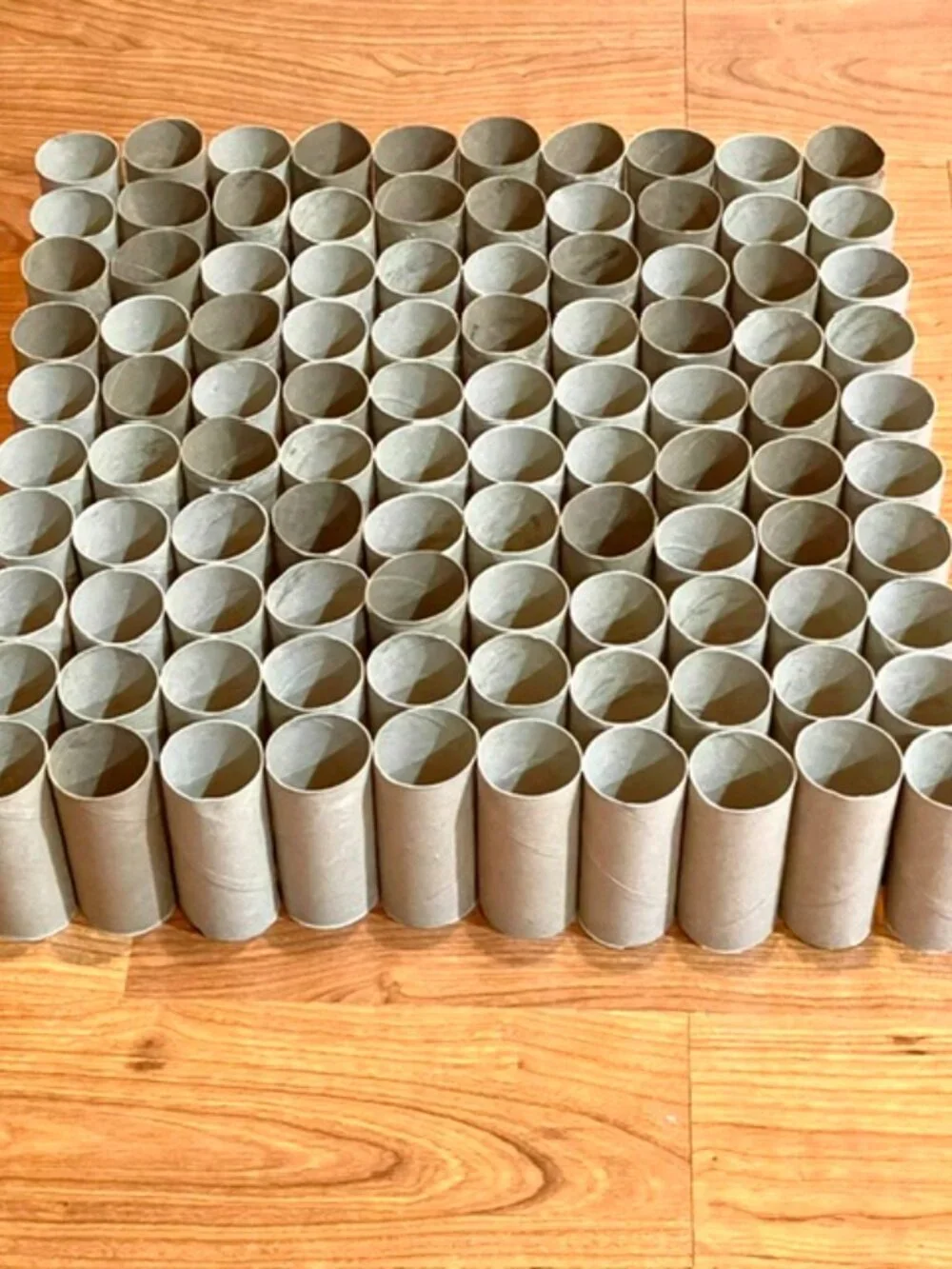 100 Toilet Paper Empty Rolls Cardboard Tubes Craft Art Project School Kid